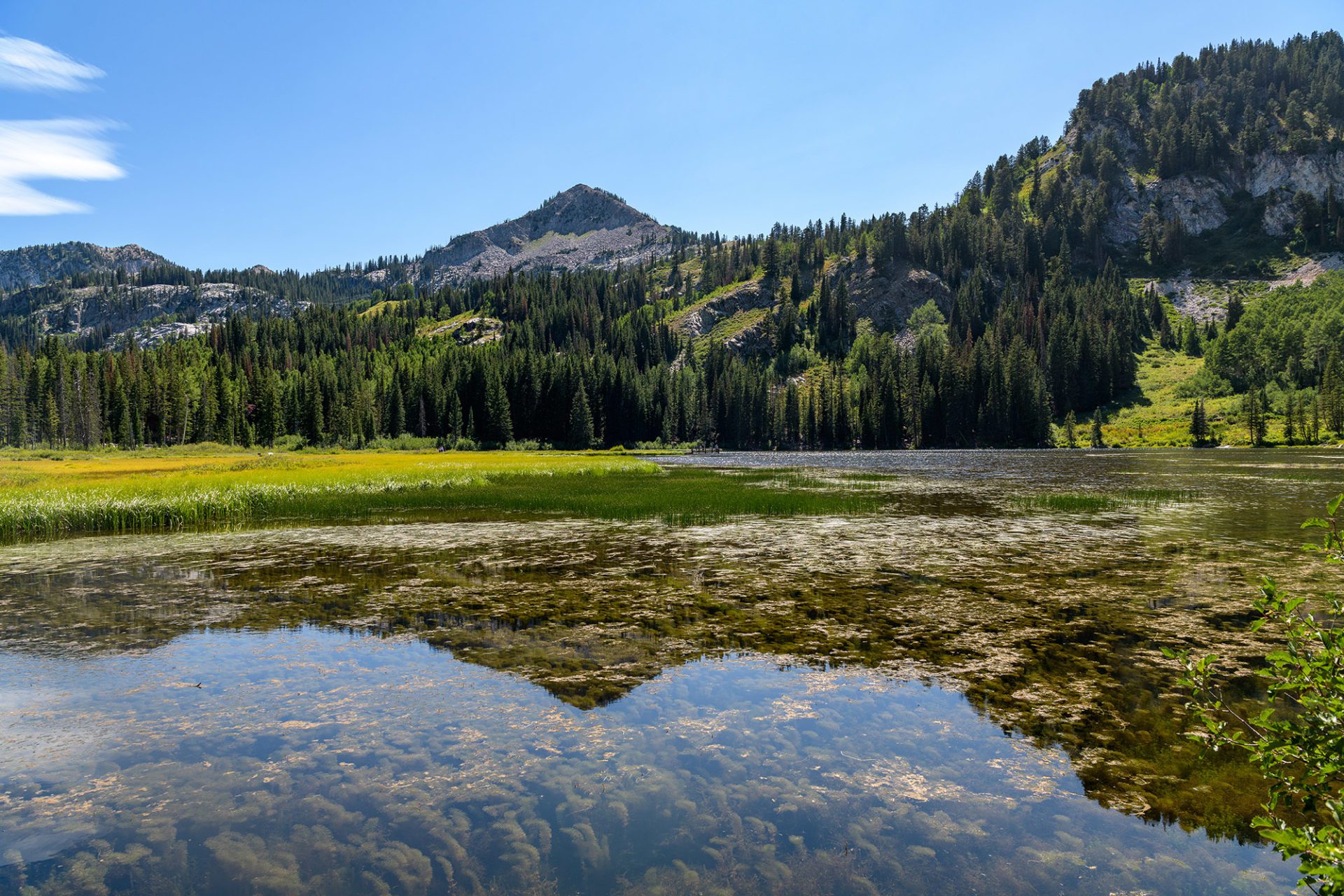 Silver Lake Amazing America