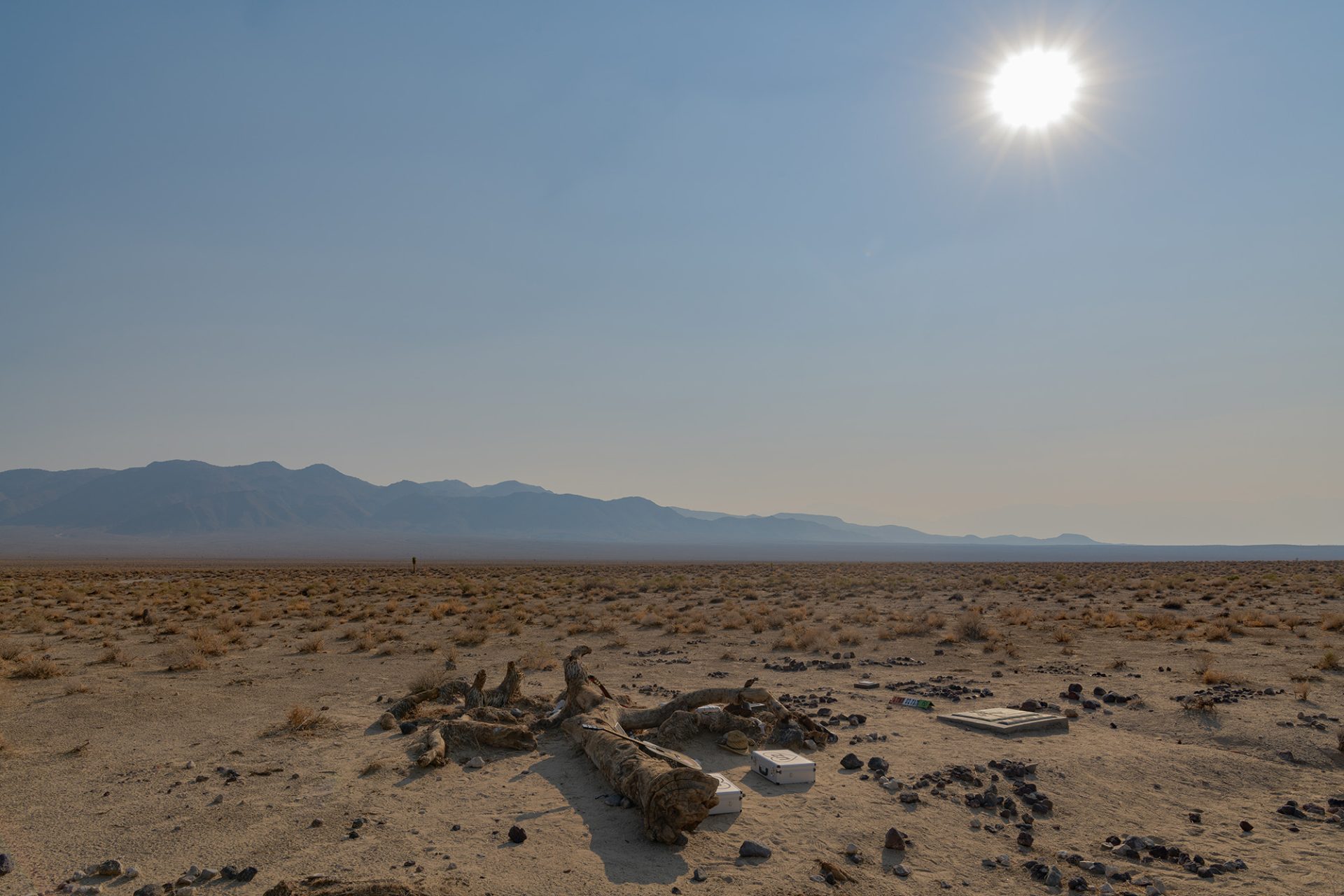 The Joshua Tree U2 Album Location - Amazing America