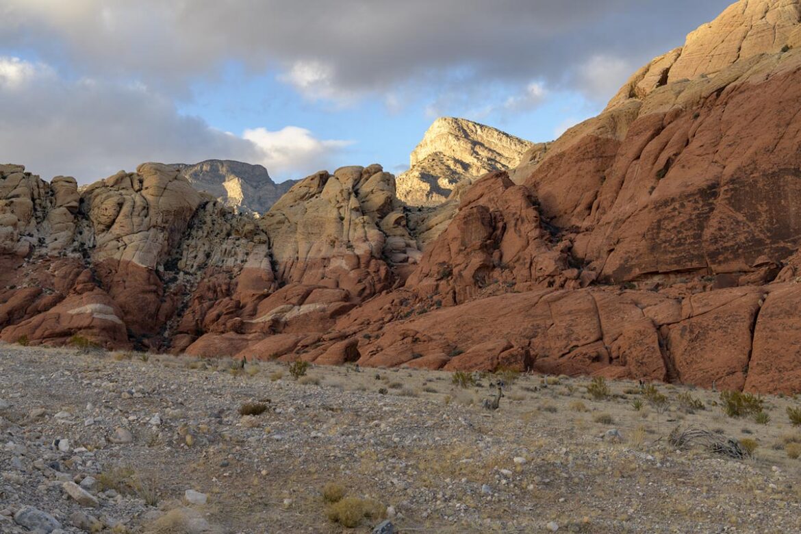 Red Rock Canyon