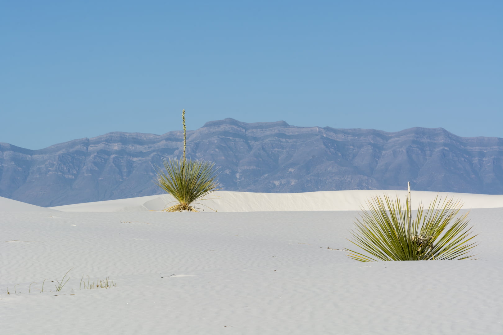 White Sands National Park