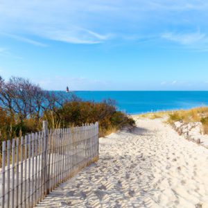 Cape Henlopen, Delaware