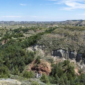 Teddy Roosevelt National Park
