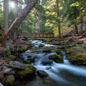 Cold Spring Creek in Mt. Hood, Oregon on October 3, 2020.