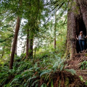 Old Growth Forest at Ecola State Park in Oregon on October 4, 2020.
