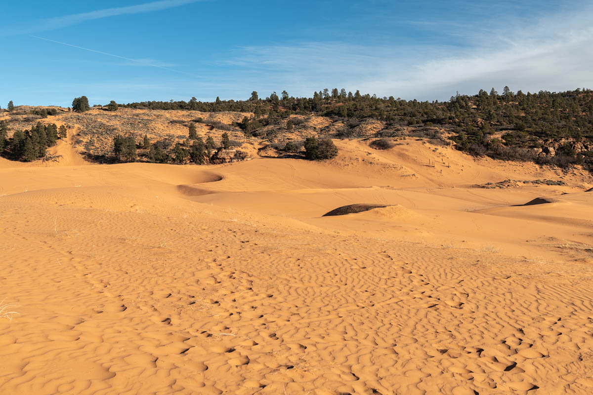 Coral Pink Sand Dunes State Park