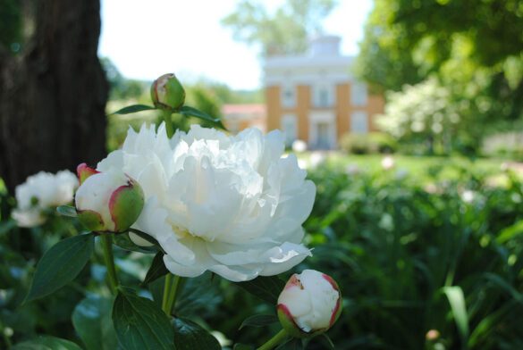 The Lanier Mansion in Madison, Indiana