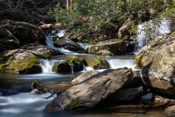 Asheville Outdoors: Exploring Catawba Falls and Chimney Rock State Park ...