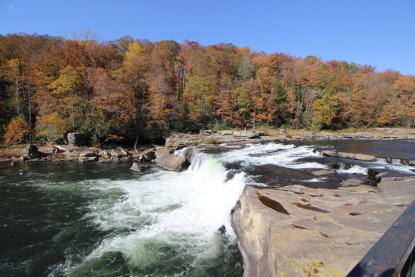 Top 5 Guide: Ohiopyle State Park, Pennsylvania - Amazing America