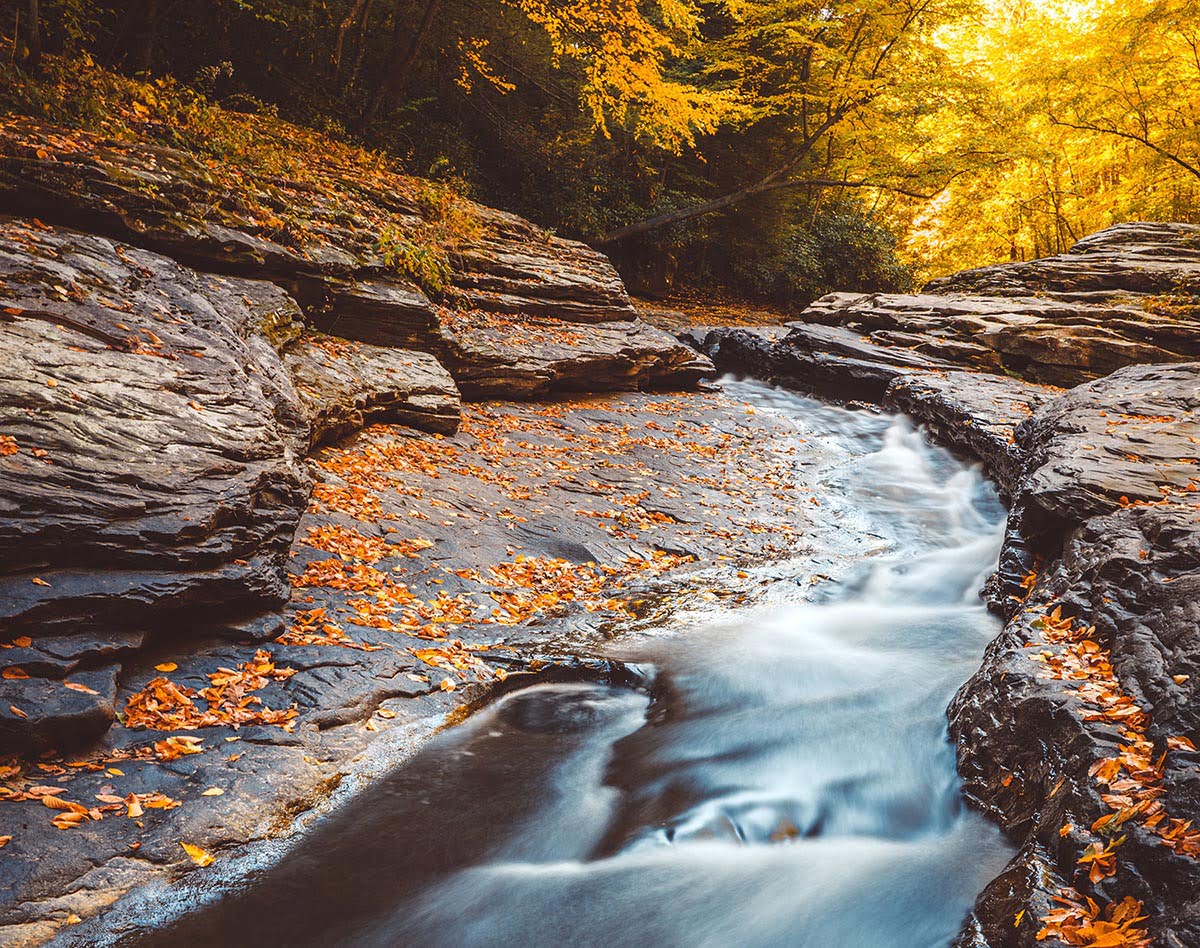 Top 5 Guide Ohiopyle State Park, Pennsylvania Amazing America