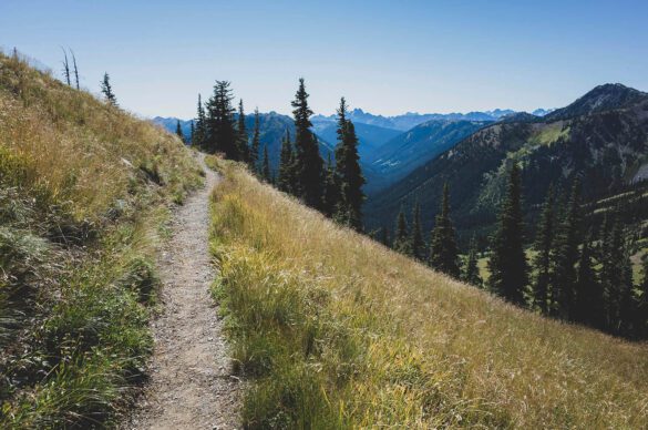 Path along the alpine meadows of the Pacific Crest Trail