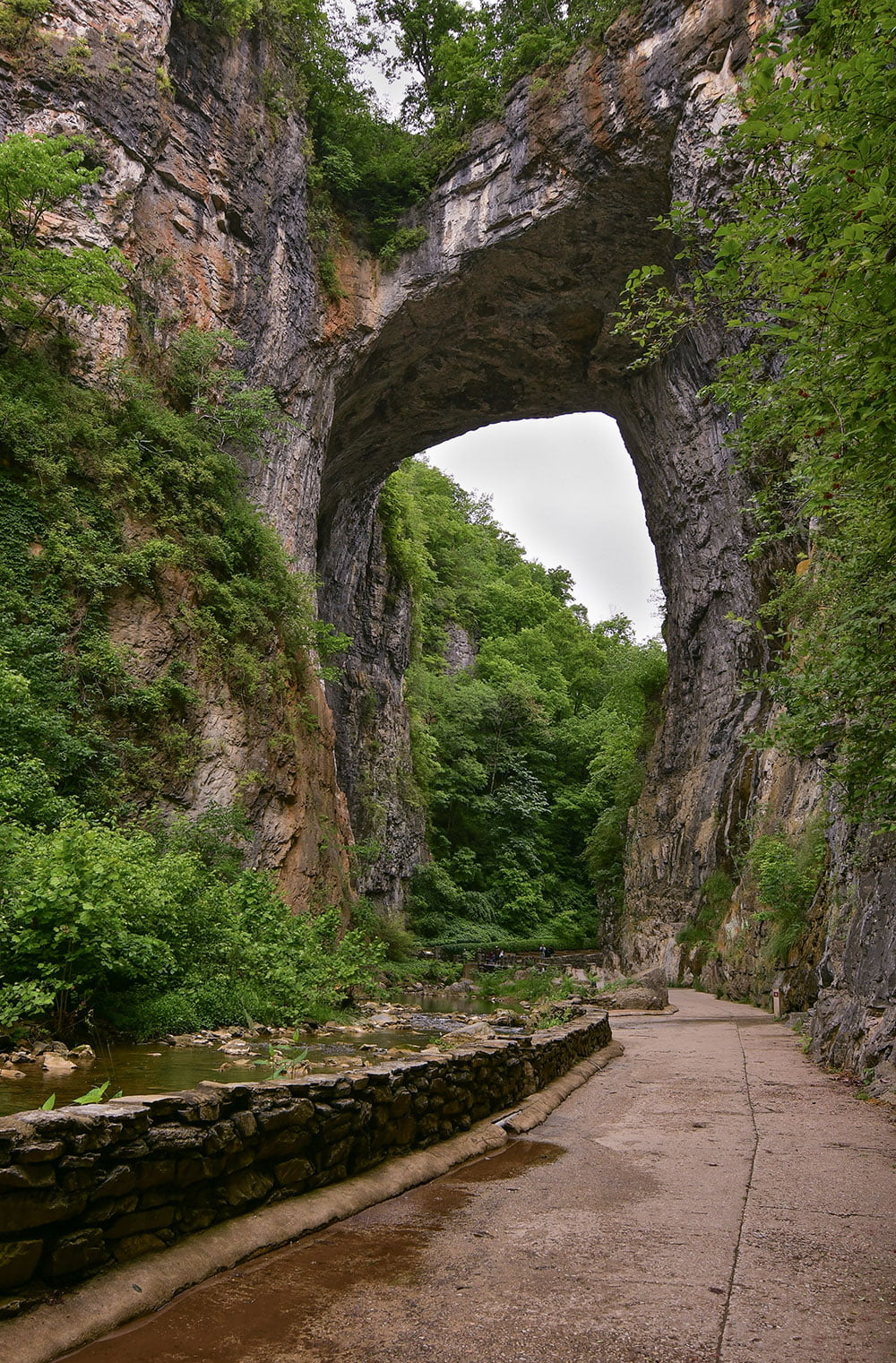 Natural Bridge State Park / Photo by Scott