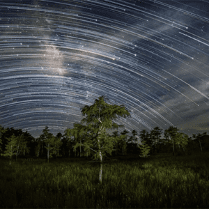 Montana Darkstar Photography