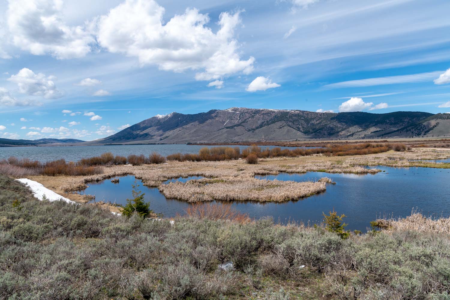 Escape To Idaho’s Jewel: Henry’s Lake State Park