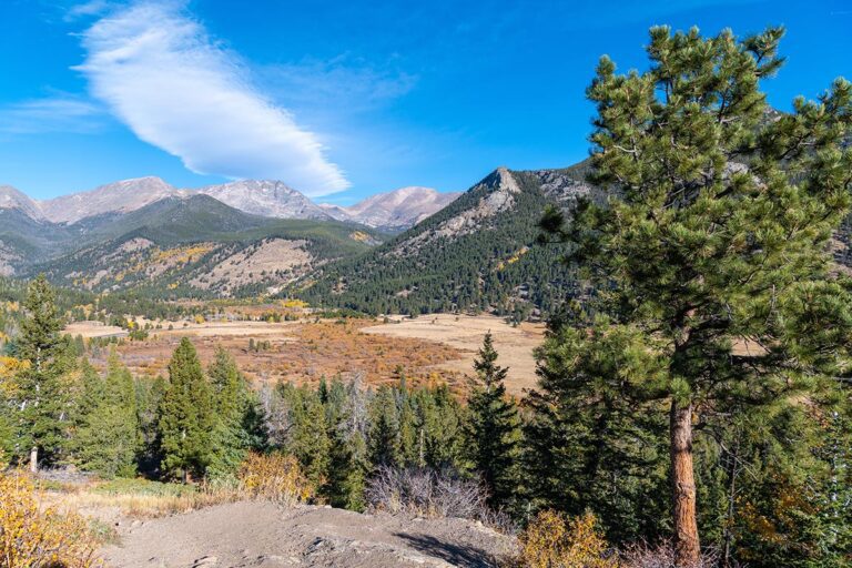 Horseshoe Park in Rocky Mountain National Park