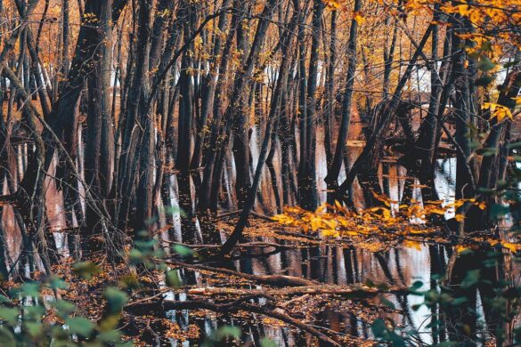 Afton State Park in Hastings, Minnesota