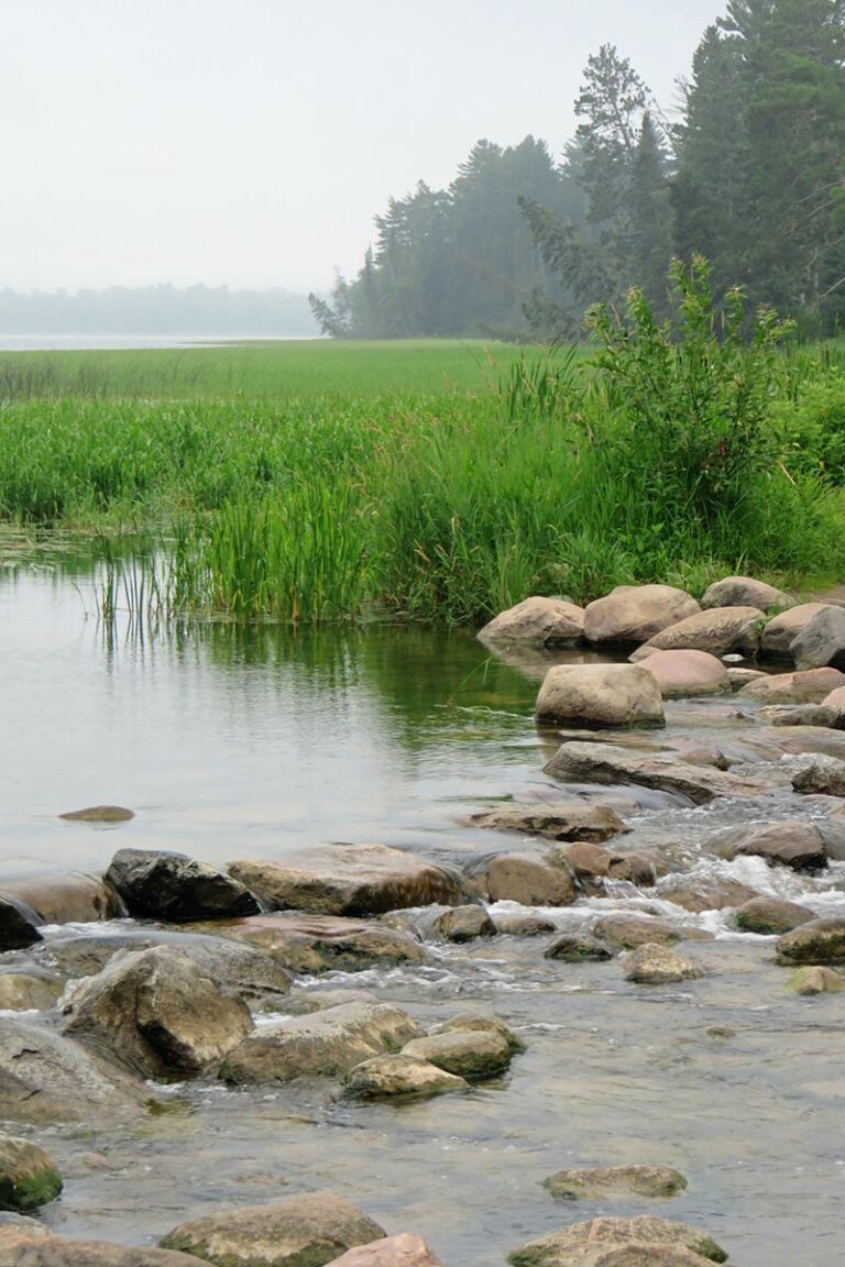 Itasca State Park Amazing America